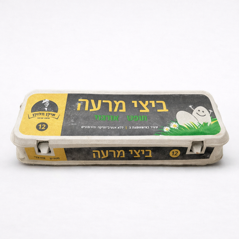 ביצים